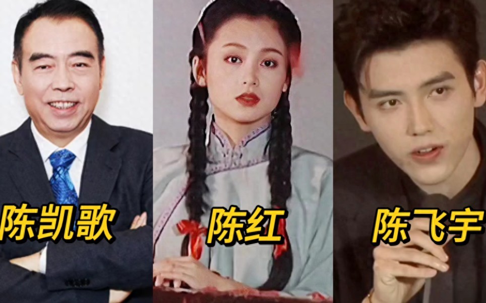 长得丑、演技差，爹妈“强捧不红”的4位星二代，注定走不远