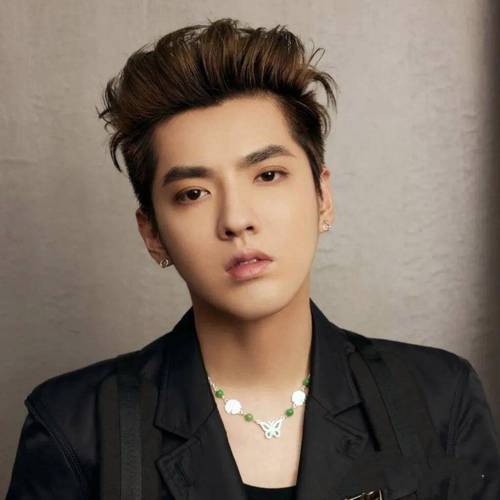 吴亦凡喜欢哪个女明星_吴亦凡最心仪的女神_吴亦凡的女偶像