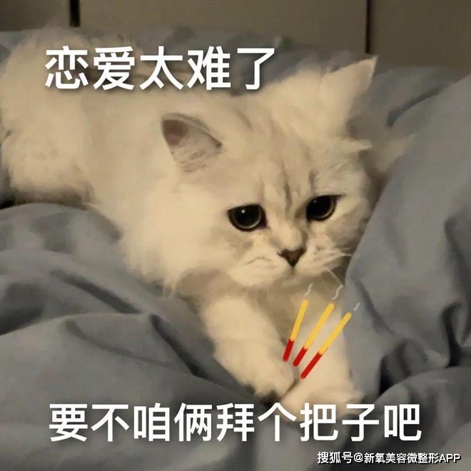 韩素希骨相美女_额头窄颧骨高的女明星_韩素希高颧骨审美